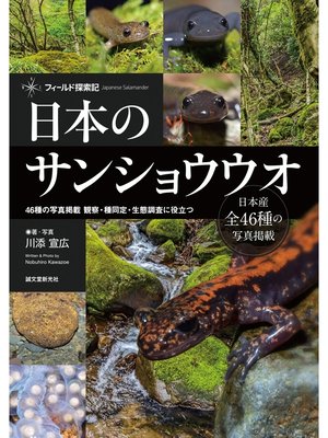 cover image of 日本のサンショウウオ：46種の写真掲載　観察・種同定・生態調査に役立つ